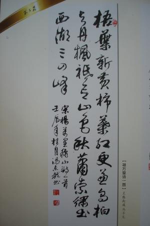 获奖作品