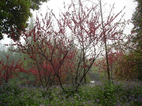 DSC02178