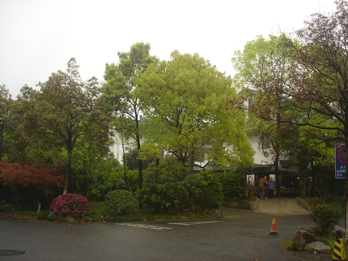 DSC02179