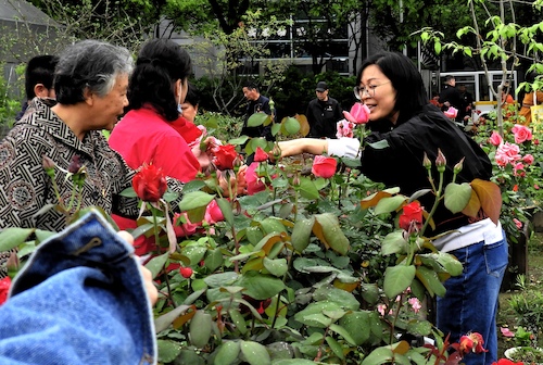 参观花房