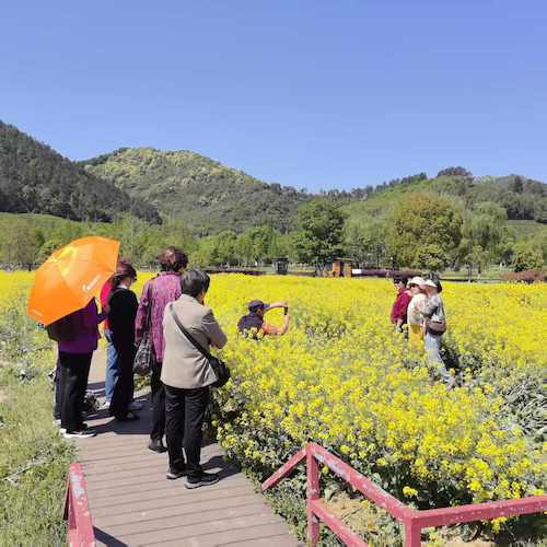 微信图片_20250417084115