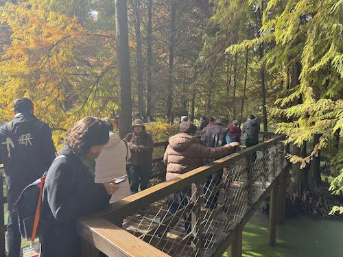 微信图片_20251203091634